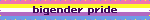 bigender pride